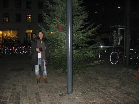 The Christmas tree